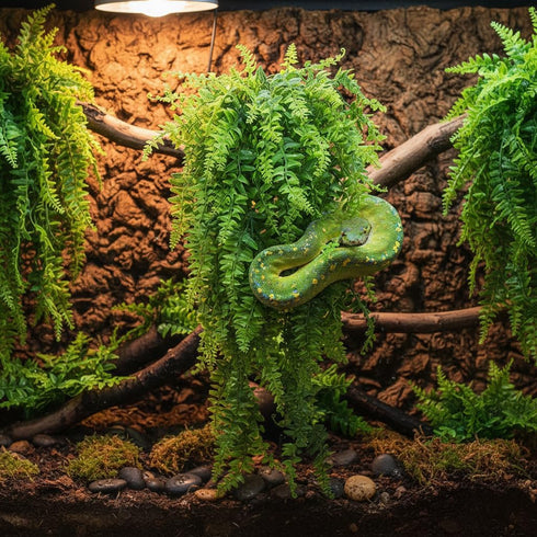 (2 Pack) PINVNBY Reptile Plants Hanging Fake Vines Boston Climbing Terrarium Plant with Suction Cup for Bearded Dragons