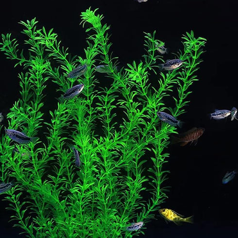 2 pcs Extra Large Aquarium Decor Plastic Plants, 21 Inches Tall Artificial Fish Tank Decorations (Green)