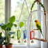 Tnyvm 1Pc Random Color Pet Bird Mirror with Bell Interactive Parrot Toys for Budgies Parakeets Conures, Pet Supplies