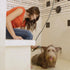 Oxygenics PawSpa SuperWash Complete Pet Washing Kit