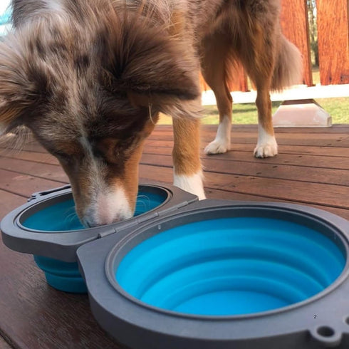 Travel Double Diner Dog Bowl, Loving Pets 73807991, Blue Sm