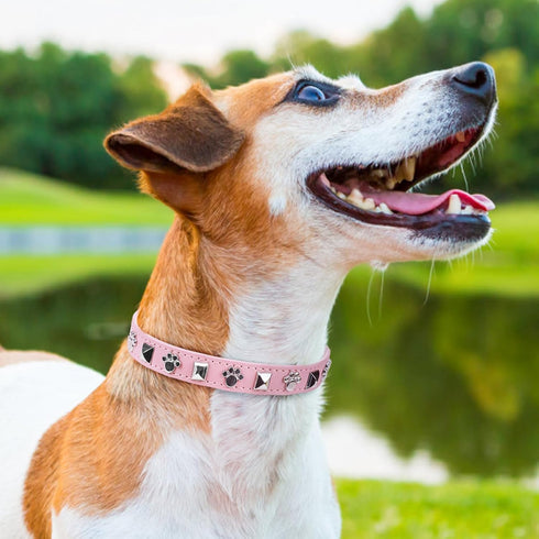 SCENEREAL Leather Dog Collars for Small Medium Dogs, Adjustable Studded Cute Collars for Boy Girl Pets, Pink S
