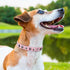SCENEREAL Leather Dog Collars for Small Medium Dogs, Adjustable Studded Cute Collars for Boy Girl Pets, Pink S