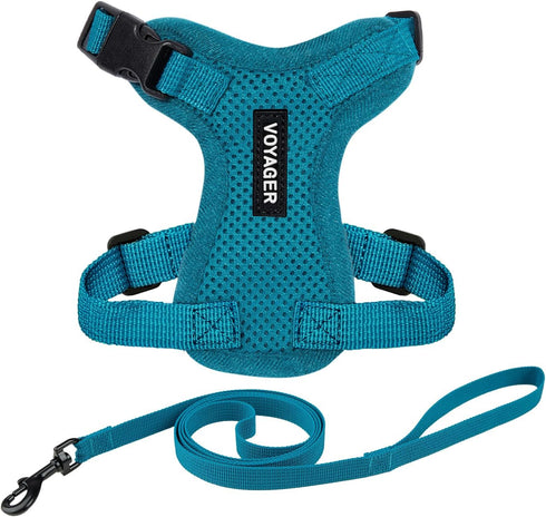 Best Pet Supplies Voyager Step-in Lock Adjustable Cat Harness with Leash Combo Set, Turquoise, XXS, 5ft Neoprene Handle