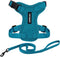 Best Pet Supplies Voyager Step-in Lock Adjustable Cat Harness with Leash Combo Set, Turquoise, XXS, 5ft Neoprene Handle
