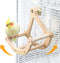 Bird Perch Toy, Interactive Rocking Parakeet Toys and Perches, Wooden Exercise Cockatiel