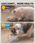 Slow Feeder Cat Bowl, Ceramic Elevated Cat and Dog Food Bowls with Metal Stand, Promotes Healthy Eating, Cute Pet Bowl