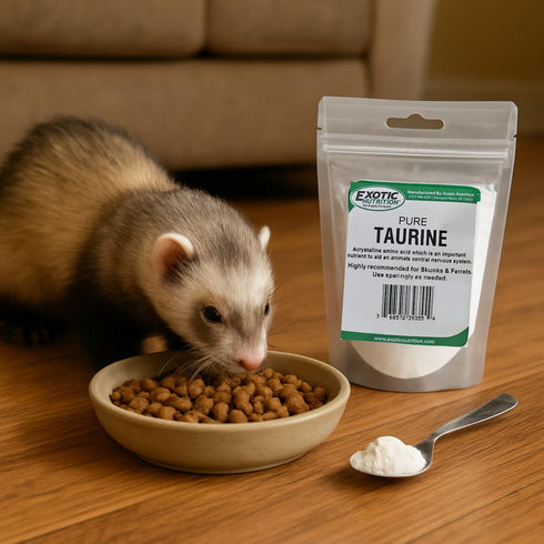 Taurine Powder | Food Topper for Heart, Vision & Daily Wellness | Amino Acid Supplement for Small & Large Pets