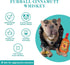Haute Diggity Dog Furball Cinnamutt Whiskey, Plush Designer Dog Toy with Interactive Squeaker, Machine-Washable