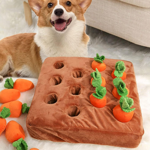 Generic 2 1 Carrot Snuffle Mat for Dogs, Novelty Dog Puzzle Toys Sniff Mat, Interactive Carrot Plush Dog Toys