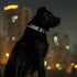Reflective Combination Pattern Girl Dog Collar for Small Medium Large Breed Dogs, Adjustable Soft Nylon Pet Collar (M)