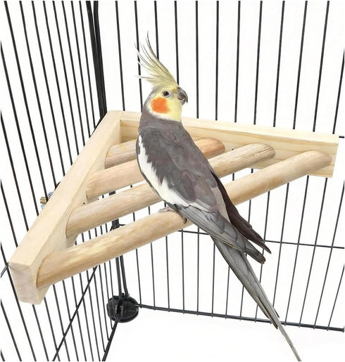Litewoo Bird Perch Corner Platform Stand Shelf for Birds Budgie Parakeet Cockatiel