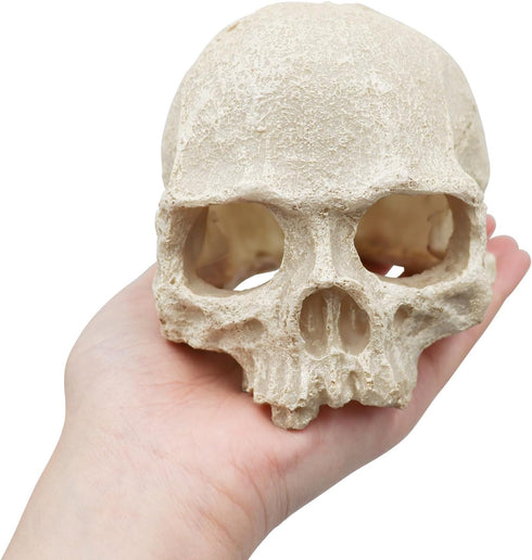Reptile Aquarium Skull Decor, Snake Hideout Resin Skeleton Head Fish Hide, 4.7 × 3.5 × 3.7 Inch
