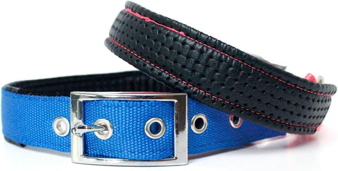 Downtown Pet Supply Deluxe Padded Adjustable Dog Collar - Blue, L - Metal Buckle & D-Ring, Machine Washable & Water