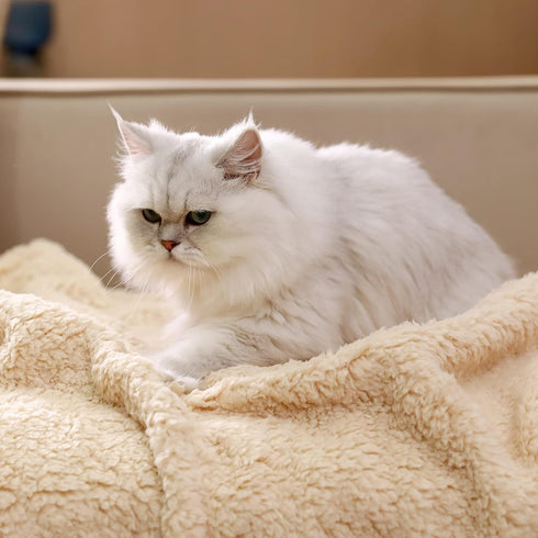 Luciphia Premium Fleece Dog Puppy Blanket, Soft Sherpa Calming Cat Blanket Throw for Small Medium Dog Cat (Beige, 30x20