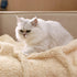 Luciphia Premium Fleece Dog Puppy Blanket, Soft Sherpa Calming Cat Blanket Throw for Small Medium Dog Cat (Beige, 30x20