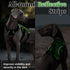 rabbitgoo Escape Proof Dog Harness, Reflective No Pull Vest, Soft Padded, Adjustable, Large, Green
