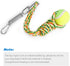 Spring Pole Dog Rope Toy - 16.8 ft Rope & Spring Pole Kit with 2 Chew Rope Toys for Medium Large Dogs