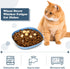 Tioncy 24 Pieces Whisker Fatigue Relief Cat Bowl, 5.7 inch Shallow Dish for Kittens and Small Pets (Wheat Straw)