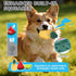 6 Pack Set Frozen Breeds,Summer Cooling Chew Toys, Freezable Teething Toy for Puppies, Chew Toys Squeaky Fruits