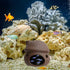 Saim Brown Ceramic Aquarium Mushroom House Decorations, Small Fish Tank Cave Hideaway for Shrimp Breeding