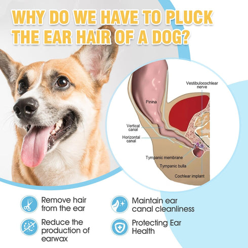 (42g) Dog Ear Care Kit - Professional Ear Powder for Hair Removal with Grooming Hemostat - Effective Solution