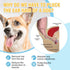 (42g) Dog Ear Care Kit - Professional Ear Powder for Hair Removal with Grooming Hemostat - Effective Solution