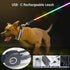USB Rechargeable LED Dog Leash, 7 Colors & Color Cycling Mode, Light Up Heavy Duty 6FT Leash