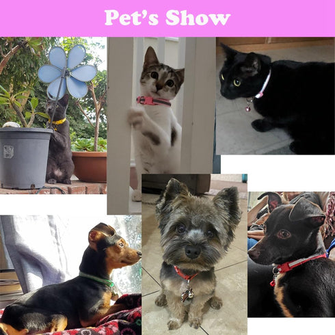 Pink Dog Collar with Bell, 2-Pack Basic & Reflective Cat Collars for XXS XS Small Tiny Dogs, Neck 7-12 inch