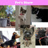 Pink Dog Collar with Bell, 2-Pack Basic & Reflective Cat Collars for XXS XS Small Tiny Dogs, Neck 7-12 inch