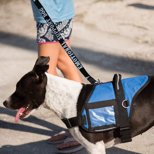 Emotional Support Dog Leash - Identification with or Without an Emotional Support Animal Vest, Includes Five ESA