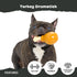 Barkbox Super Chewer Tough Dog Chew Toys for Aggressive Chewers, Dental Stimulating, Turkey - Small