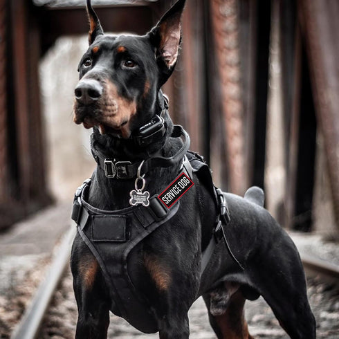 12 Pieces Removable Tactical Dog Harness Patches, Service Dog Vest Patches Do Not Pet & Emotional Support