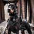 12 Pieces Removable Tactical Dog Harness Patches, Service Dog Vest Patches Do Not Pet & Emotional Support