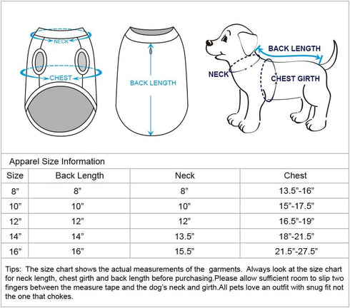 Blueberry Pet Pack of 2 Soft & Comfy Wonderland Striped Dog T Shirts - Back Length 12"