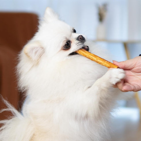 MON2SUN 5 Inch 10.58oz (15 Count-Pack 1) Chicken Collagen Sticks for Dogs, Teeth Cleaning Collagen Chews for Medium