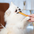 MON2SUN 5 Inch 10.58oz (15 Count-Pack 1) Chicken Collagen Sticks for Dogs, Teeth Cleaning Collagen Chews for Medium