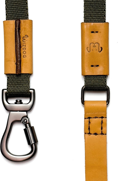 Dog Leash, 4 FT Nylon Pet Leash with Leather Handle for Large Medium Dogs, Reinforced Connection (Army)