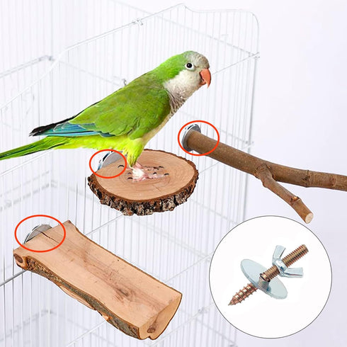 Bird Cage Screws, 20 Washers, 10 Screws, 10 Wing Nuts, Drill Tool Hardware for Bird Playground Perch