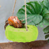 Neeenn 3.7 Inches Hermit Crab Tire Swing Toy, Hermit Crab Climbing Toy, Reptile Tank Aquarium Decoration Accessory