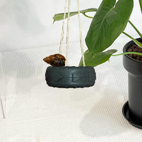 QUWHIZ Hermit Crab Tire Swing Toy Suction Cup Hook Climbing Toy Terrarium Decor Climbing Swing for Hermit Crabs, Small