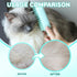 Cat Steam Brush, 3 in 1 Steamy Cat Brush for Shedding, Multifunctional Pet Steam Brush for Removal of Shedding and