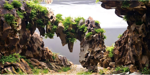 AWERT 72x24 inches Viewing Stone Fish Tank Background, Aquatic Plant River Bed & Lake Aquarium Background