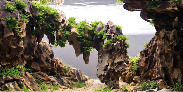 AWERT 72x24 inches Viewing Stone Fish Tank Background, Aquatic Plant River Bed & Lake Aquarium Background