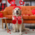 3 Pieces Valentines Day Dog Costume Set, Red Valentines Love Headband, Dog Tutu Dress, Cute PET Tutu Scarf for Medium