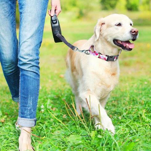 Martingale Dog Collars, Adjustable Soft Nylon Slip Collar with Quick Release Buckle, No Pull Training Collar for Dogs