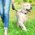 Martingale Dog Collars, Adjustable Soft Nylon Slip Collar with Quick Release Buckle, No Pull Training Collar for Dogs