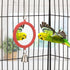 Hypeety Pet Bird Mirror with Bell Interactive Parrot Toy for Cockatiel Parakeets Canaries