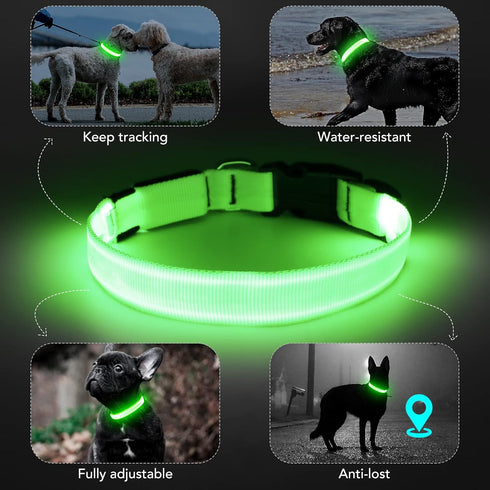 Light Up Dog Collar, Adjustable LED Rechargeable Waterproof for Night Walking, Glow in The Dark for Medium Large Dogs