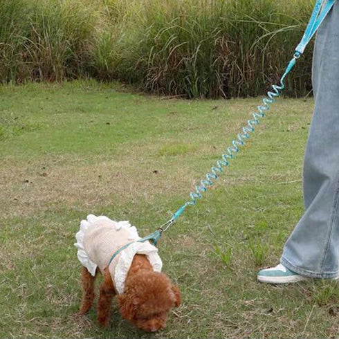 7FT Chew Proof Stretch Dog Leash Cable, Reflective Anti-Pull with Soft Wide Nylon Handle for Small Dogs, Blue